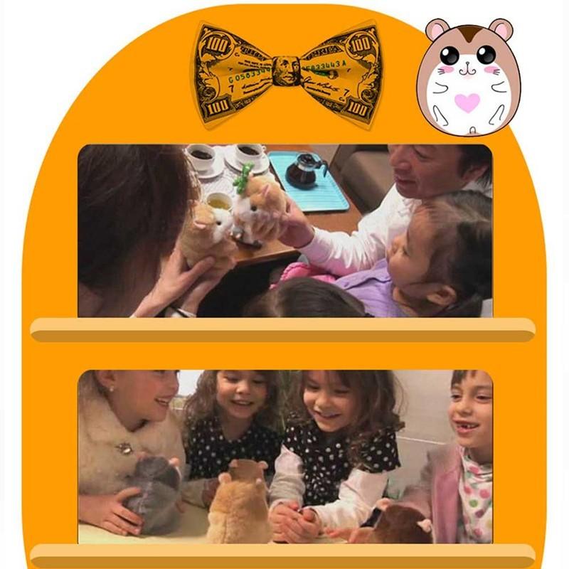 15CM Little Talking Hamster Toy - Hipster Collections