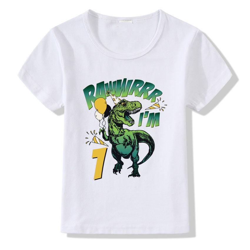 Children's T-shirt Numbers 1-9 Birthday T-shirt - Hipster Collections