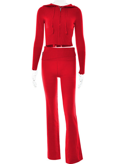 Hoodie Suit Women Leisure Zip Long Sleeve Sweater And High Waist Long Pants Set - Hipster Collections